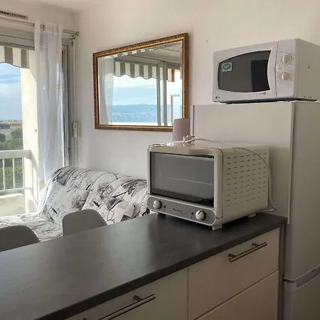 Apartment T1 Lumineux Avec Balcon Et Vue Sur Etang A - Fr-1-553-295 *