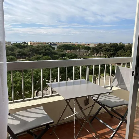 Apartment T1 Lumineux Avec Balcon Et Vue Sur Etang A - Fr-1-553-295 *